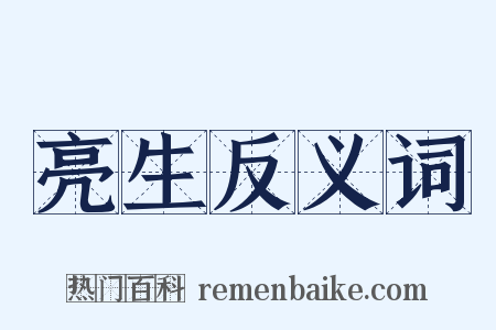 亮生反义词是什么意思的图片